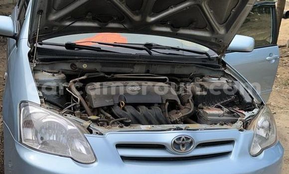 Acheter Import Voiture Toyota Runx Bleu à Douala, Littoral Cameroon Acheter Import Voiture Toyota Runx Bleu à Douala, Littoral Cameroon