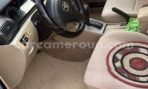 Acheter Import Voiture Toyota Runx Bleu à Douala, Littoral Cameroon Acheter Import Voiture Toyota Runx Bleu à Douala, Littoral Cameroon