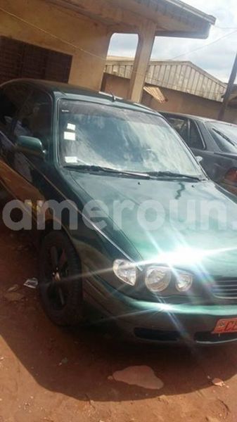 Big with watermark 42393307 881460898910097 4401121866601725952 n