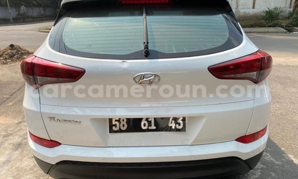 Acheter Neuf Voiture Hyundai Tucson Blanc à Douala, Littoral Cameroon Acheter Neuf Voiture Hyundai Tucson Blanc à Douala, Littoral Cameroon