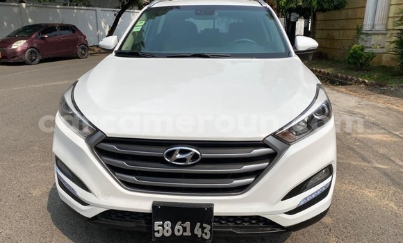 Acheter Neuf Voiture Hyundai Tucson Blanc à Douala, Littoral Cameroon Acheter Neuf Voiture Hyundai Tucson Blanc à Douala, Littoral Cameroon