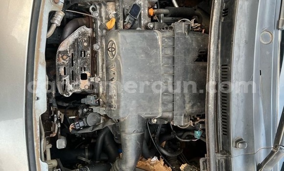 Buy Used Toyota Vitz Silver Car in Yaounde in Central Cameroon Buy Used Toyota Vitz Silver Car in Yaounde in Central Cameroon