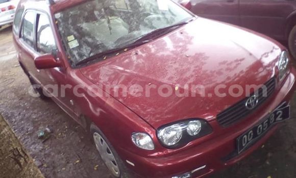 Acheter Occasion Voiture Toyota Corolla Rouge à Yaoundé, Central Cameroon Acheter Occasion Voiture Toyota Corolla Rouge à Yaoundé, Central Cameroon