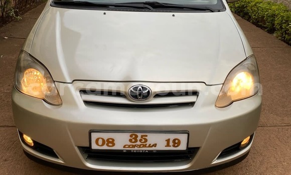 Buy Used Toyota Corolla Silver Car in Yaounde in Central Cameroon Buy Used Toyota Corolla Silver Car in Yaounde in Central Cameroon