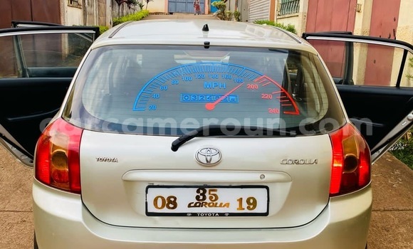 Buy Used Toyota Corolla Silver Car in Yaounde in Central Cameroon Buy Used Toyota Corolla Silver Car in Yaounde in Central Cameroon