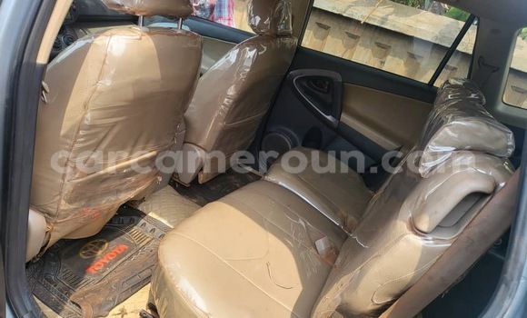 Buy Used Toyota RAV4 Silver Car in Yaounde in Central Cameroon Buy Used Toyota RAV4 Silver Car in Yaounde in Central Cameroon