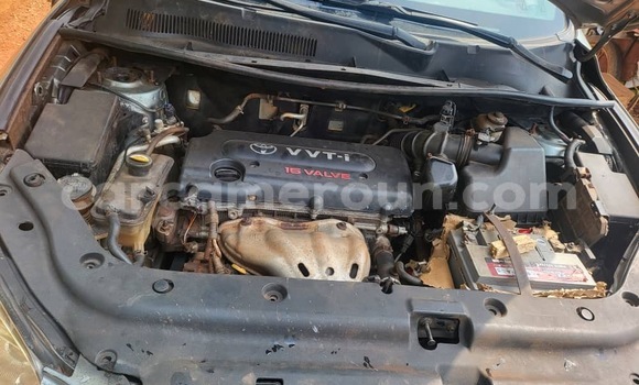 Buy Used Toyota RAV4 Silver Car in Yaounde in Central Cameroon Buy Used Toyota RAV4 Silver Car in Yaounde in Central Cameroon