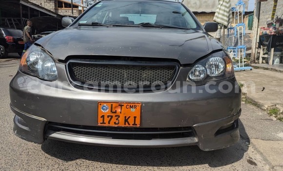 Acheter Occasion Voiture Toyota Corolla Gris à Douala, Littoral Cameroon