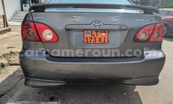 Sayi Na hannu Toyota Corolla Azurfa Mota in Douala a Ƙasar Kamaru Sayi Na hannu Toyota Corolla Azurfa Mota in Douala a Ƙasar Kamaru
