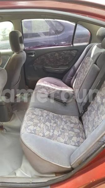 Big with watermark 43952242 157845575157962 4335428086951575552 o