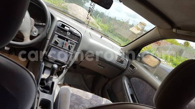 Big with watermark 44037248 718726691823714 1154447351868293120 n