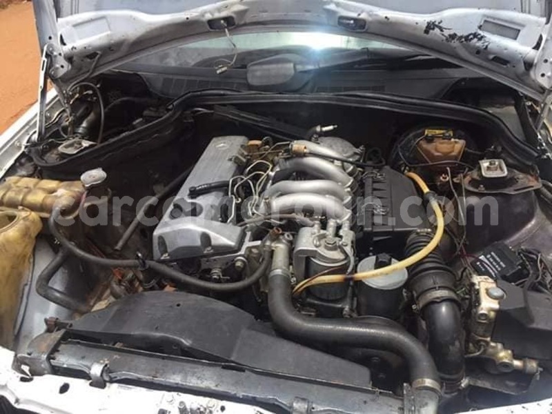 Big with watermark 43880256 157845481824638 895143421541351424 o