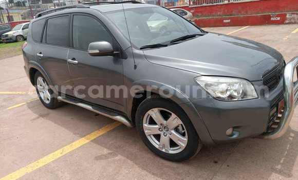 Sayi Na hannu Toyota RAV4 Azurfa Mota in Yaounde a Babban Kamaru