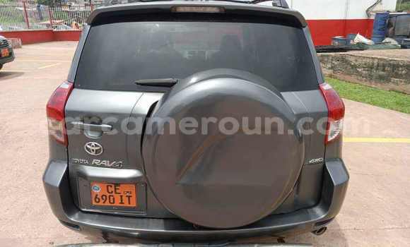 Acheter Occasion Voiture Toyota RAV4 Gris à Yaoundé, Central Cameroon Acheter Occasion Voiture Toyota RAV4 Gris à Yaoundé, Central Cameroon