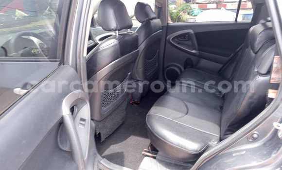 Acheter Occasion Voiture Toyota RAV4 Gris à Yaoundé, Central Cameroon Acheter Occasion Voiture Toyota RAV4 Gris à Yaoundé, Central Cameroon