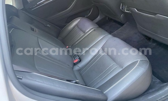 Acheter Import Voiture Hyundai Genesis Gris à Douala, Littoral Cameroon Acheter Import Voiture Hyundai Genesis Gris à Douala, Littoral Cameroon