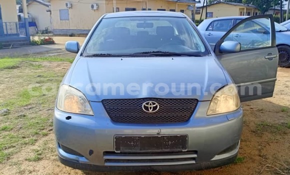 Acheter Occasion Voiture Toyota Corolla Bleu à Douala, Littoral Cameroon