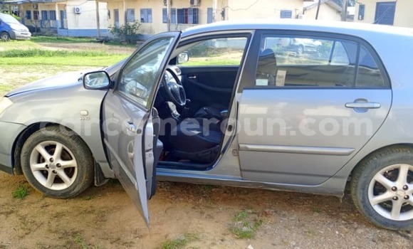 Sayi Na hannu Toyota Corolla Blue Mota in Douala a Ƙasar Kamaru Sayi Na hannu Toyota Corolla Blue Mota in Douala a Ƙasar Kamaru