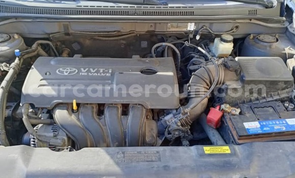 Sayi Na hannu Toyota Corolla Blue Mota in Douala a Ƙasar Kamaru Sayi Na hannu Toyota Corolla Blue Mota in Douala a Ƙasar Kamaru