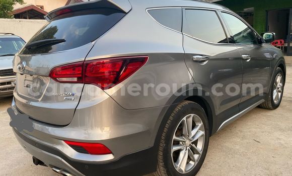 Buy Import Hyundai Santa Fe Silver Car in Douala in Littoral Cameroon Buy Import Hyundai Santa Fe Silver Car in Douala in Littoral Cameroon