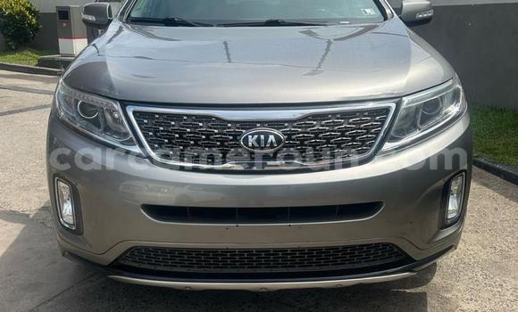 Acheter Import Voiture Kia Sorento Gris à Douala, Littoral Cameroon Acheter Import Voiture Kia Sorento Gris à Douala, Littoral Cameroon