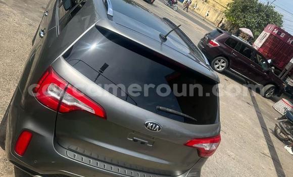 Acheter Import Voiture Kia Sorento Gris à Douala, Littoral Cameroon Acheter Import Voiture Kia Sorento Gris à Douala, Littoral Cameroon