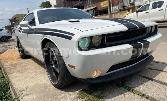 Buy Used Dodge Challenger White Car in Douala in Littoral Cameroon