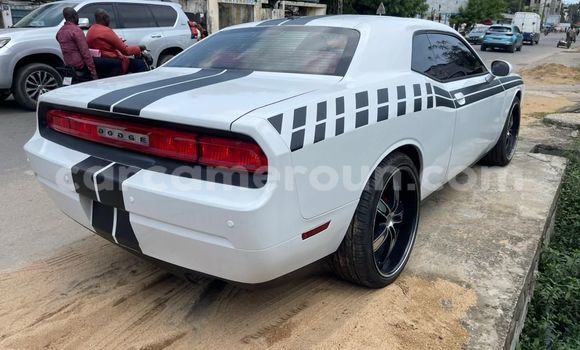 Sayi Na hannu Dodge Challenger White Mota in Douala a Ƙasar Kamaru Sayi Na hannu Dodge Challenger White Mota in Douala a Ƙasar Kamaru