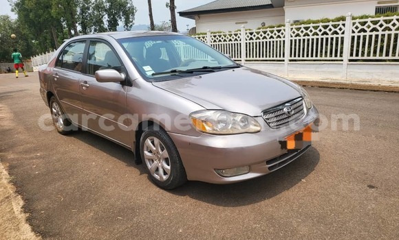 Acheter Occasion Voiture Toyota Corolla Marron à Yaoundé, Central Cameroon