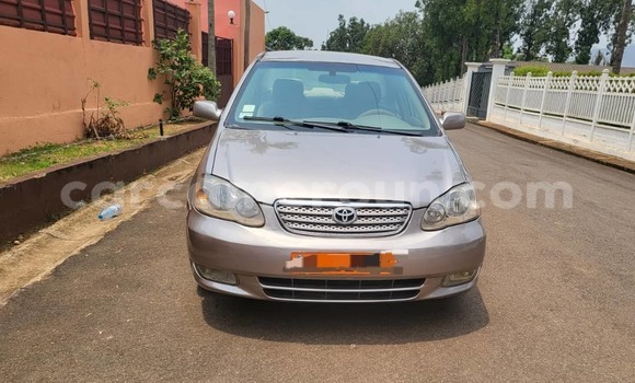 Buy Used Toyota Corolla Brown Car in Yaounde in Central Cameroon Buy Used Toyota Corolla Brown Car in Yaounde in Central Cameroon