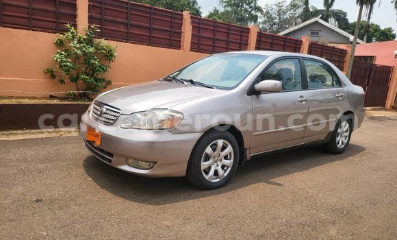 Buy Used Toyota Corolla Brown Car in Yaounde in Central Cameroon Buy Used Toyota Corolla Brown Car in Yaounde in Central Cameroon