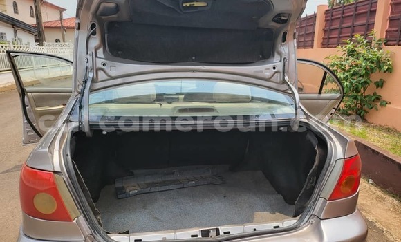 Buy Used Toyota Corolla Brown Car in Yaounde in Central Cameroon Buy Used Toyota Corolla Brown Car in Yaounde in Central Cameroon