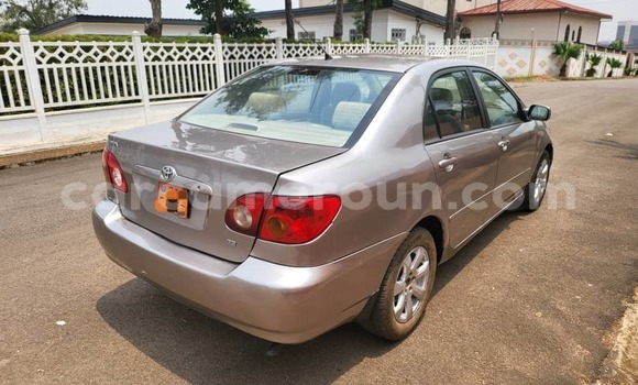 Buy Used Toyota Corolla Brown Car in Yaounde in Central Cameroon Buy Used Toyota Corolla Brown Car in Yaounde in Central Cameroon