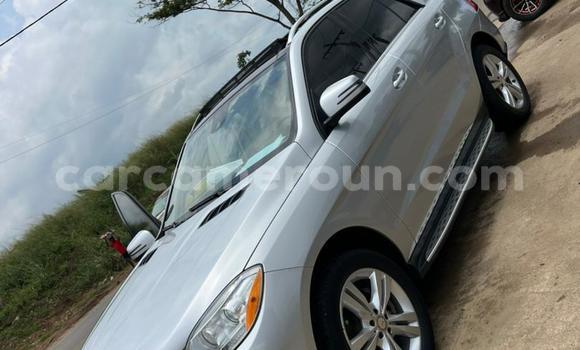 Acheter Import Voiture Mercedes‒Benz ML–Class Gris à Douala, Littoral Cameroon