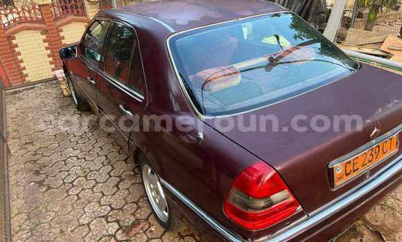 Acheter Occasion Voiture Mercedes-Benz E200 Rouge à Yaoundé, Central Cameroon Acheter Occasion Voiture Mercedes-Benz E200 Rouge à Yaoundé, Central Cameroon