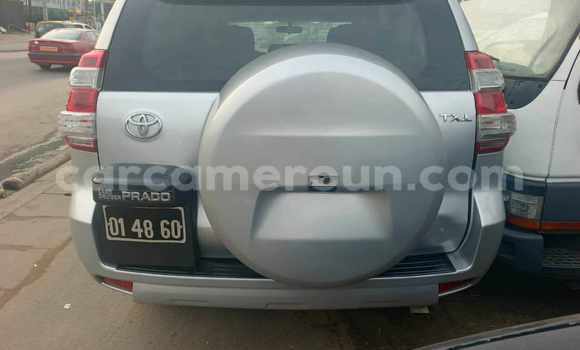 Acheter Occasion Voiture Toyota Prado Gris à Douala, Littoral Cameroon Acheter Occasion Voiture Toyota Prado Gris à Douala, Littoral Cameroon