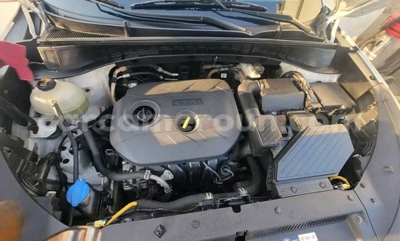 Acheter Occasion Voiture Hyundai Tucson Blanc à Douala, Littoral Cameroon Acheter Occasion Voiture Hyundai Tucson Blanc à Douala, Littoral Cameroon