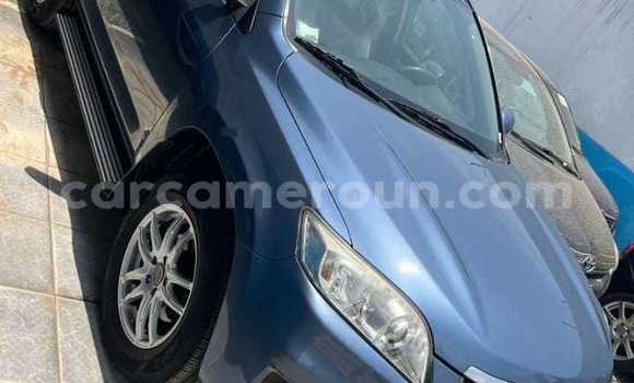 Acheter Import Voiture Toyota RAV4 Bleu à Douala, Littoral Cameroon Acheter Import Voiture Toyota RAV4 Bleu à Douala, Littoral Cameroon