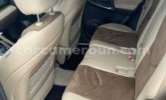 Acheter Import Voiture Toyota RAV4 Bleu à Douala, Littoral Cameroon Acheter Import Voiture Toyota RAV4 Bleu à Douala, Littoral Cameroon