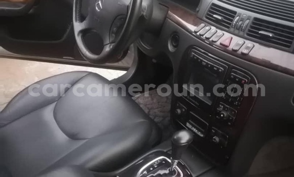 Acheter Import Voiture Mercedes‒Benz S–Class Gris à Douala, Littoral Cameroon Acheter Import Voiture Mercedes‒Benz S–Class Gris à Douala, Littoral Cameroon
