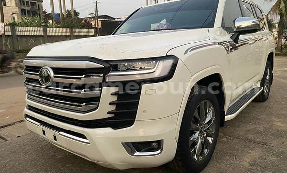 Sayi Imported Toyota Land Cruiser White Mota in Douala a Ƙasar Kamaru