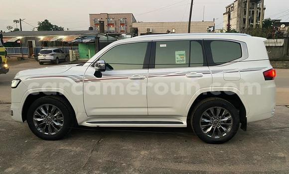 Sayi Imported Toyota Land Cruiser White Mota in Douala a Ƙasar Kamaru Sayi Imported Toyota Land Cruiser White Mota in Douala a Ƙasar Kamaru
