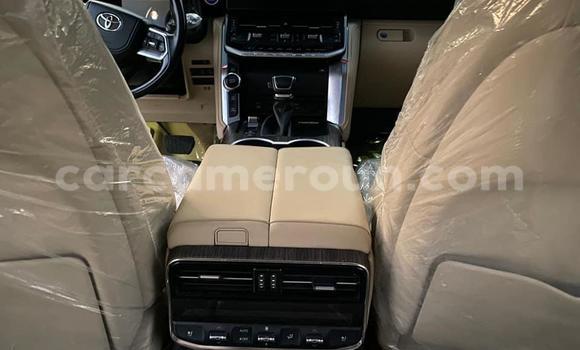 Sayi Imported Toyota Land Cruiser White Mota in Douala a Ƙasar Kamaru Sayi Imported Toyota Land Cruiser White Mota in Douala a Ƙasar Kamaru