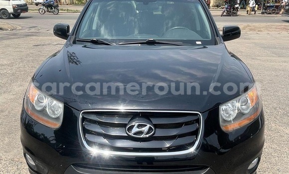 Buy Import Hyundai Santa Fe Black Car in Douala in Littoral Cameroon