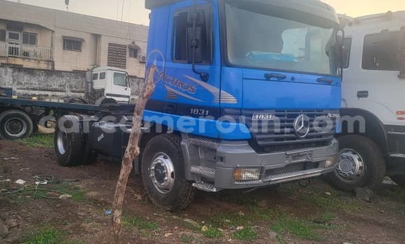 Acheter Occasion Utilitaire Mercedes‒Benz 1834 Bleu à Douala, Littoral Cameroon