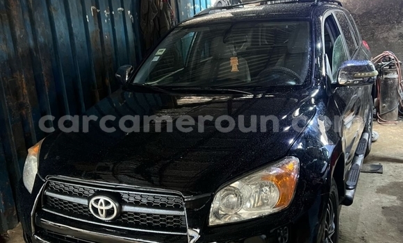 Sayi Na hannu Toyota RAV4 Black Mota in Douala a Ƙasar Kamaru