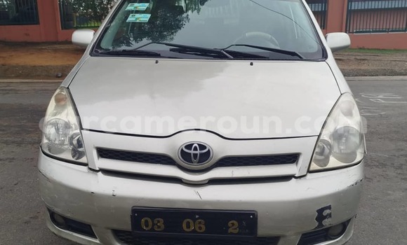 Acheter Occasion Voiture Toyota Corolla Verso Gris à Douala, Littoral Cameroon
