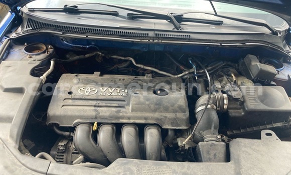 Acheter Import Voiture Toyota Hilux Blanc à Douala, Littoral Cameroon Acheter Import Voiture Toyota Hilux Blanc à Douala, Littoral Cameroon