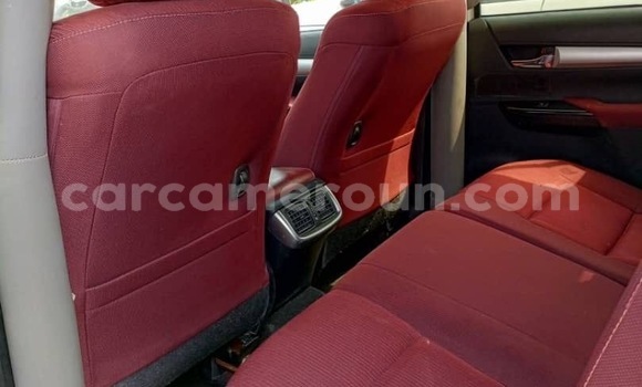 Acheter Import Voiture Toyota Hilux Blanc à Douala, Littoral Cameroon Acheter Import Voiture Toyota Hilux Blanc à Douala, Littoral Cameroon
