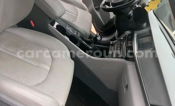 Sayi Imported Kia Optima Brown Mota in Douala a Ƙasar Kamaru Sayi Imported Kia Optima Brown Mota in Douala a Ƙasar Kamaru